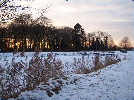 winter 2010 2011 lidwinaweg